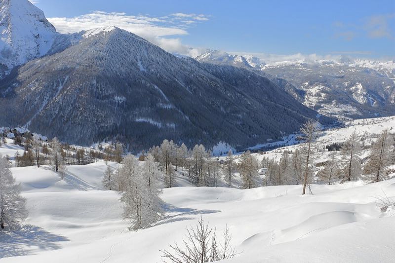Snow-covered slopes and larches at the Sestriere pass, with mountains beyond
