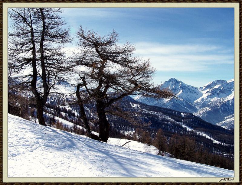 Dal monte Genevris - panoramio