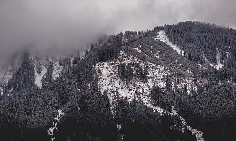Snow-dusted forested mountainside above Mayrhofen shrouded in mist