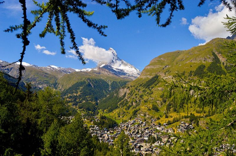 Zermatt spread along its valley floor with the Matterhorn framed by larch branches above